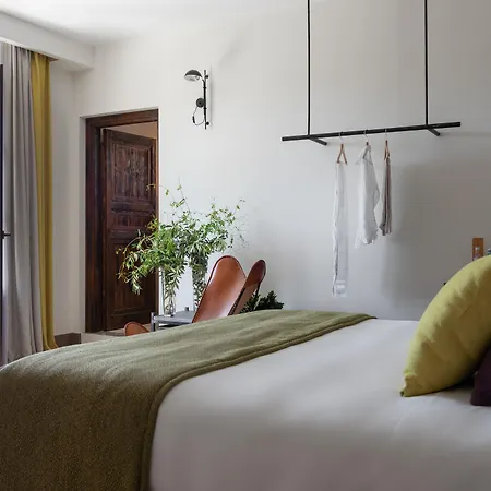 Momentum Wellness Bio Castelvetrano